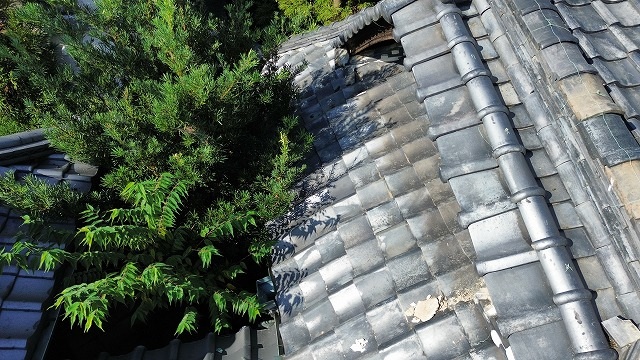 傷んだ瓦の屋根面
