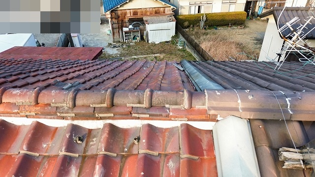 京都市伏見区で借家の棟まわりを点検、反対側の瓦と軒先も確認