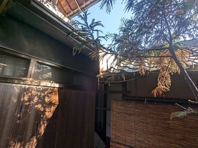 建物間の狭い屋根