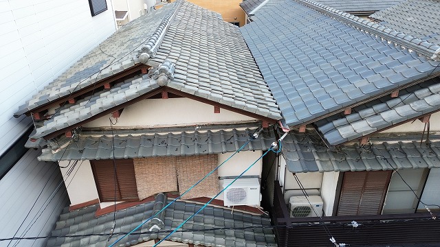 大屋根全体の状態