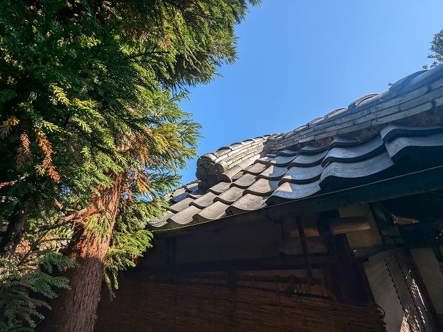 樹木が迫る瓦屋根