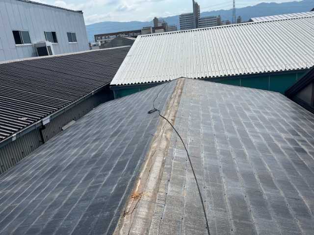 施工前の屋根全体