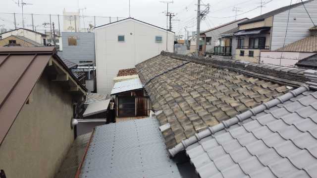 周囲と屋根の全体状況