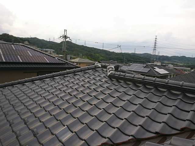 瓦屋根全体の調査状況