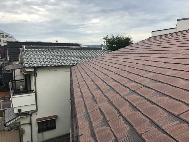 周辺含む屋根全景