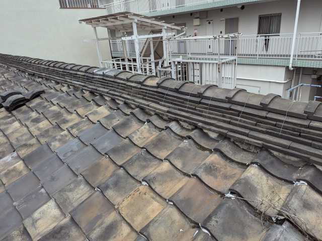 平瓦の浮きとズレ