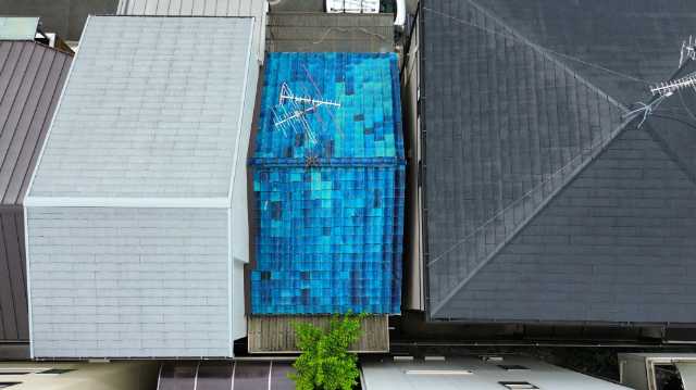 棟を含む屋根の全景
