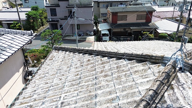 大屋根の広範囲劣化